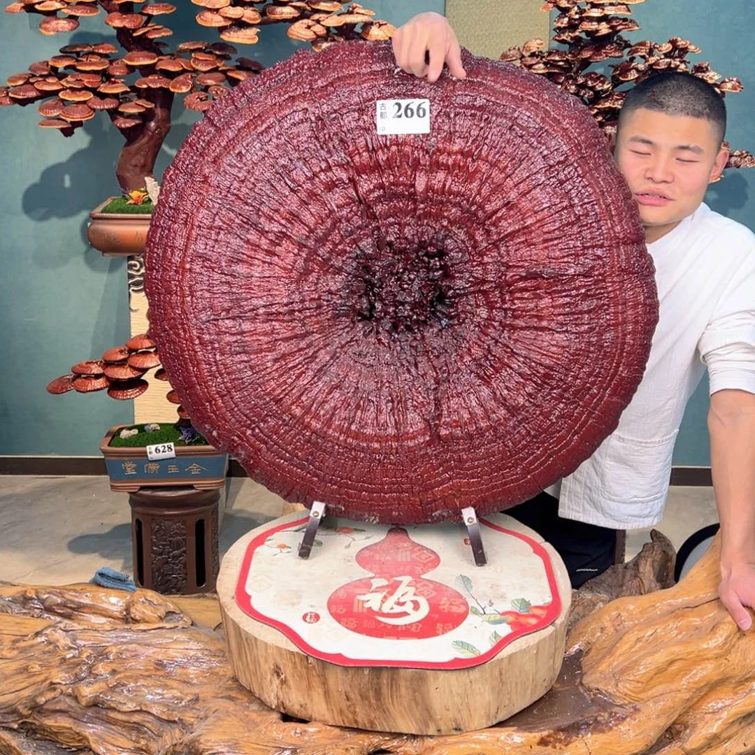 无花朵88888888888888