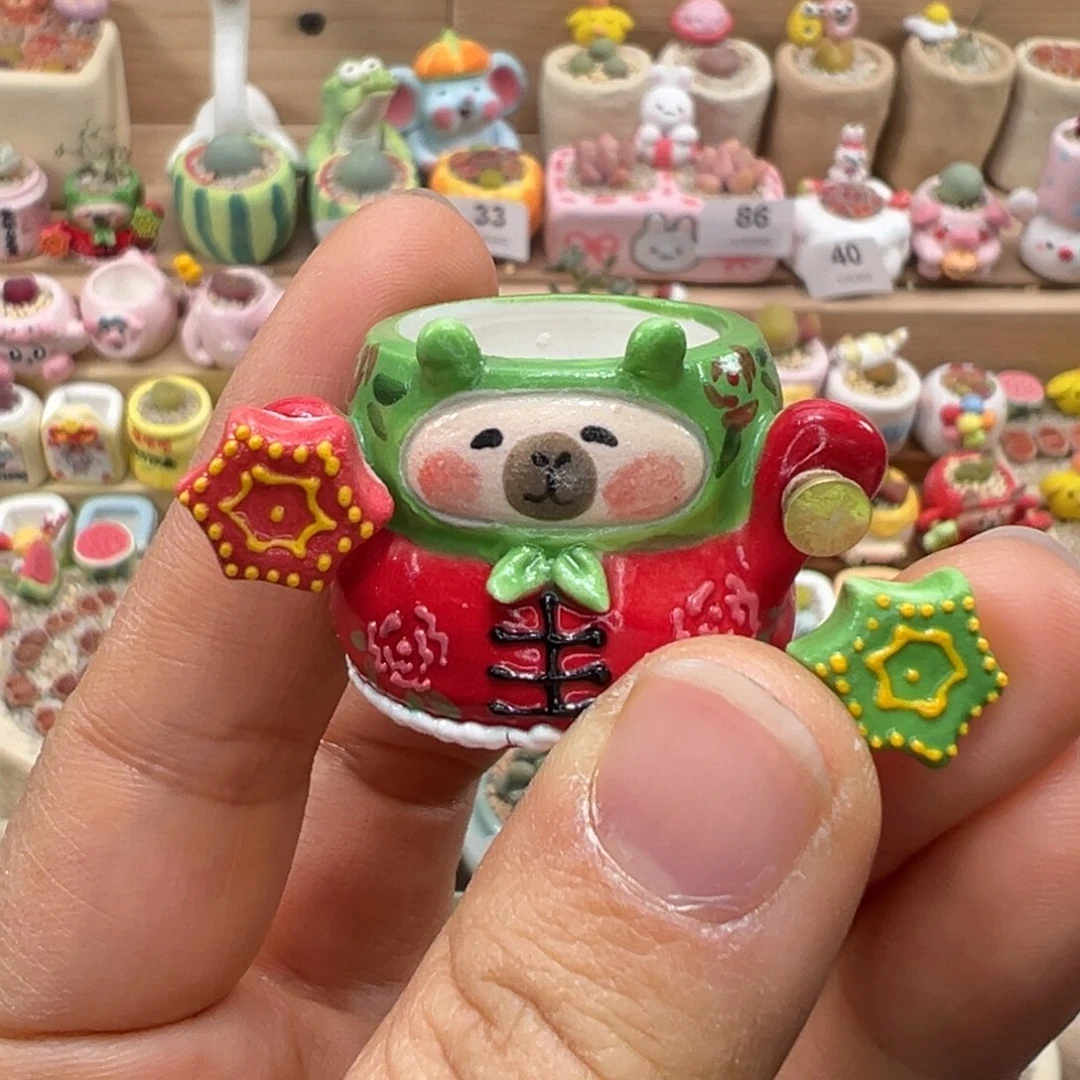 多肉植物90号单独盆