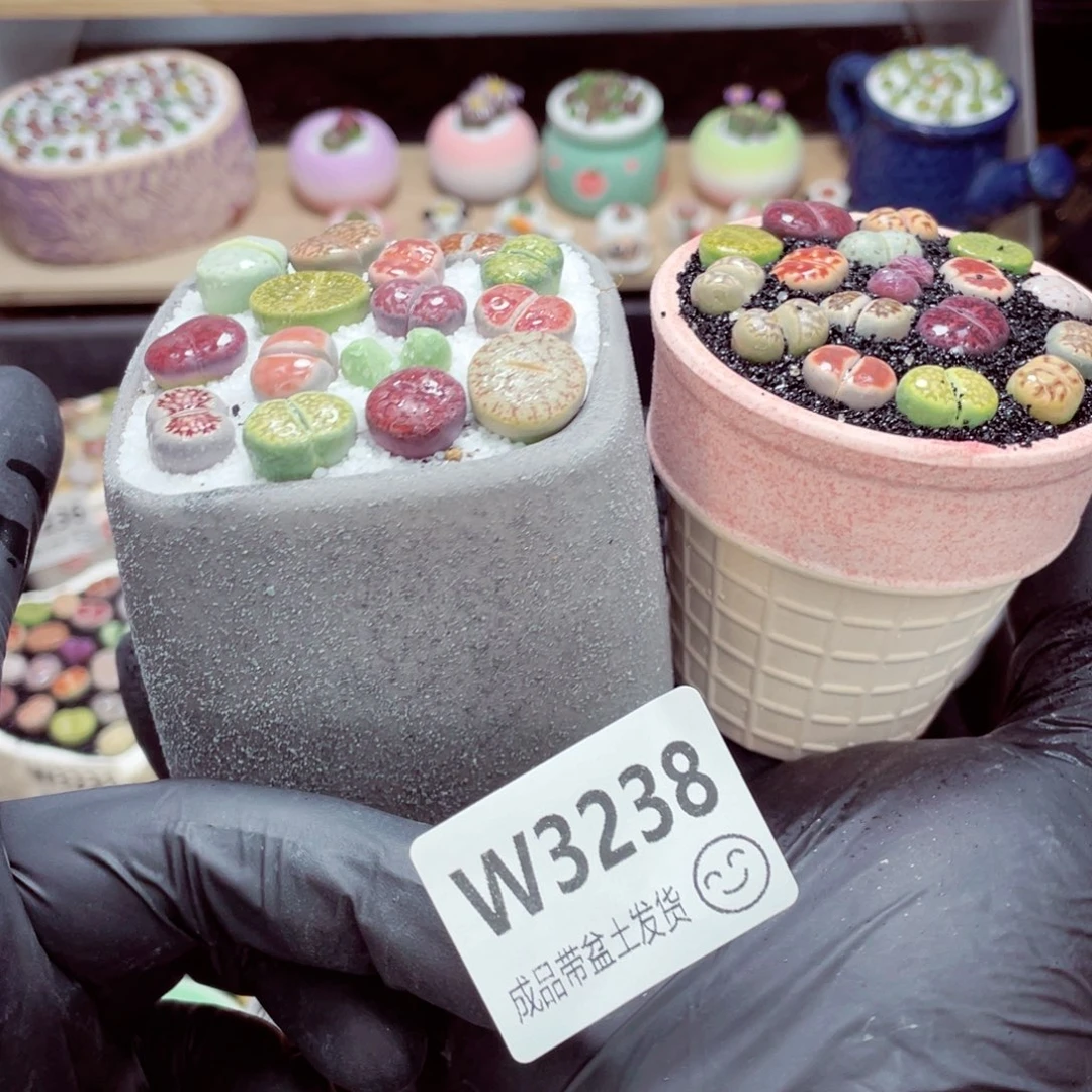 夜间零下地区拍保温箱w3238