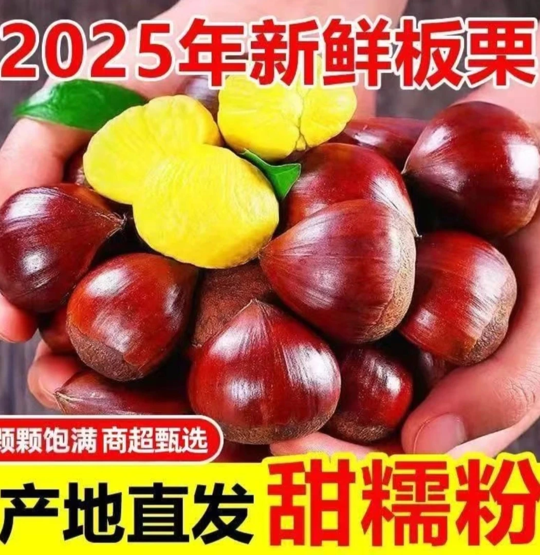 2025年生板栗新鲜农家现摘生栗子5斤装粉糯可口