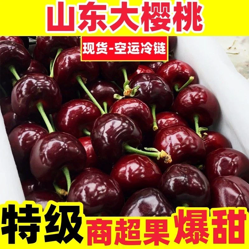 30+mm烟台大樱桃特大美早现摘现发孕妇水果车厘子新鲜整箱发货
