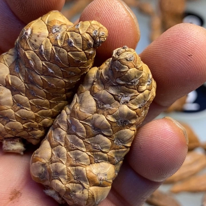 香榧木拿姐工艺流程44