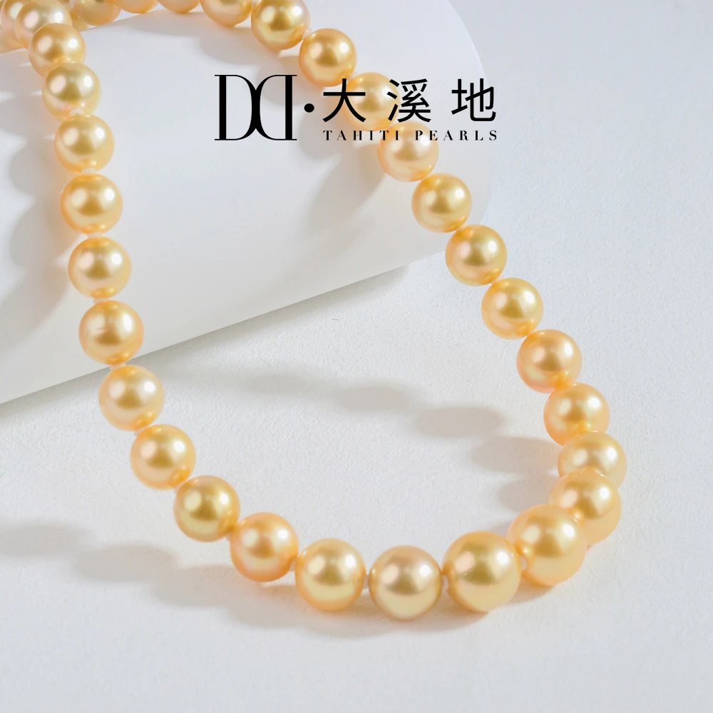 【吉尔德大证】南洋金珠海水珠串项链14K金贵气秋冬大颗经典百搭