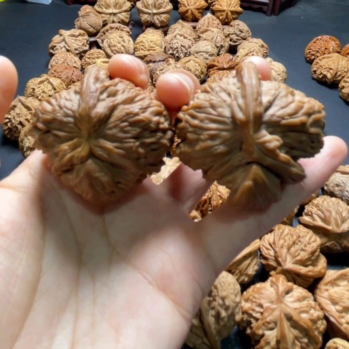 白狮子犀牛角43尺寸核桃哈哈哈哈哈哈哈