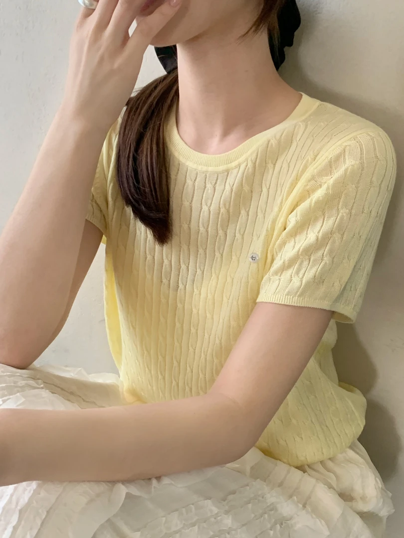【潘潘.508873】2025年夏季新款冰蚕丝纯色圆领短袖绞花套头针织衫