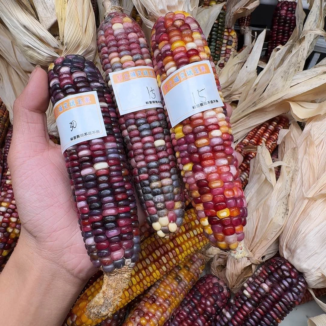 歪***-柏香籽/百香籽吊坠