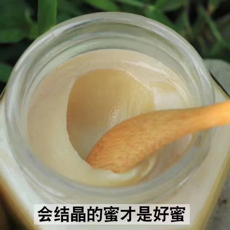 原汁原味雪蜜小黄芪花蒲公英花期成熟封盖蜂蜜500克*5瓶蜂蜜天然