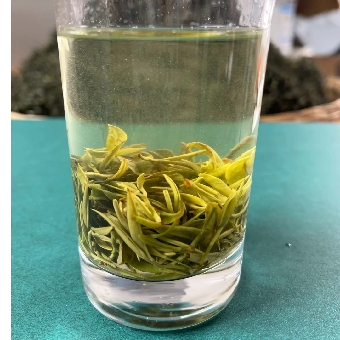 2025信阳毛尖雨前毛尖大山茶250g500g包邮