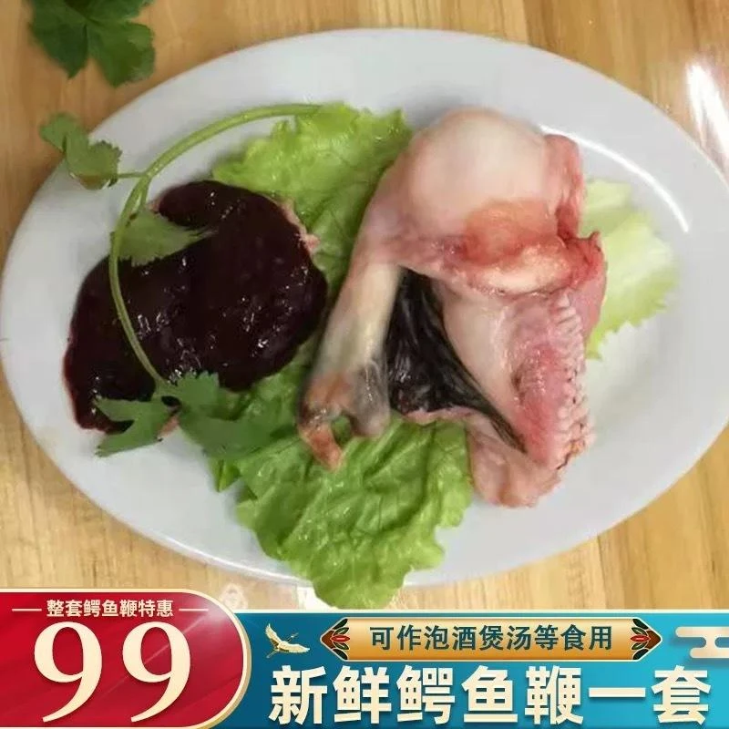 鳄鱼鞭肉-新鲜现杀活体现杀