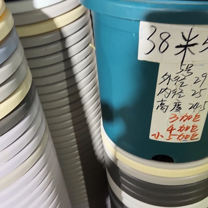 四季微瑕5号纯白无托6个