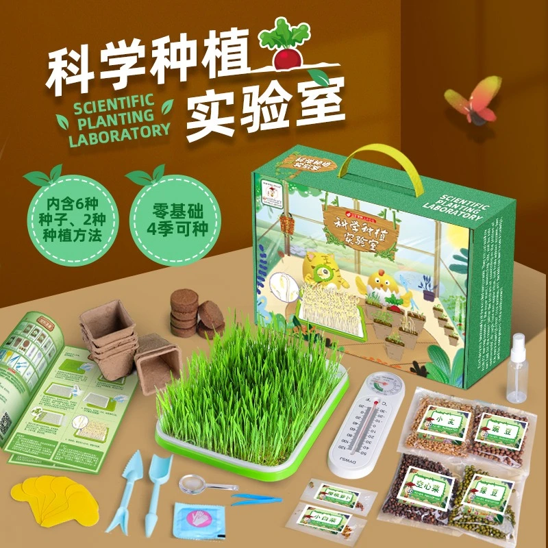 儿童diy盆栽种植种植观察种子发芽生长科学实验套装