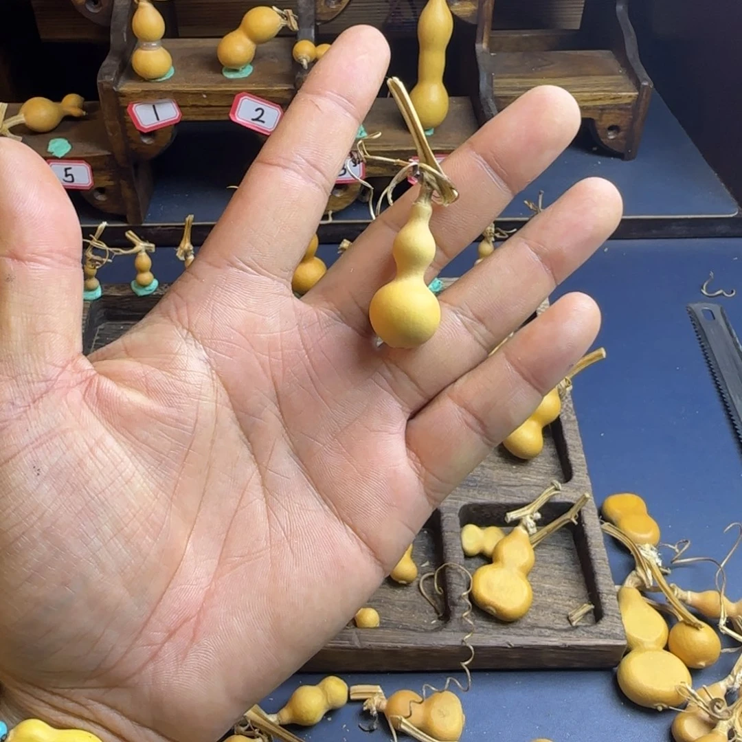 大*呀我是一个人的一生都是这样吗。
