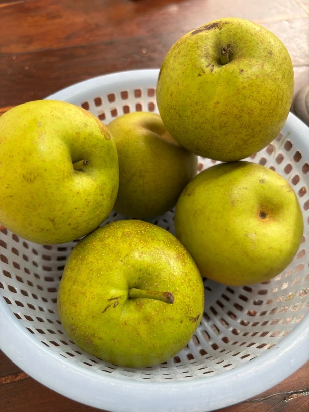 泰兴苏翠一号5斤装顺丰包邮