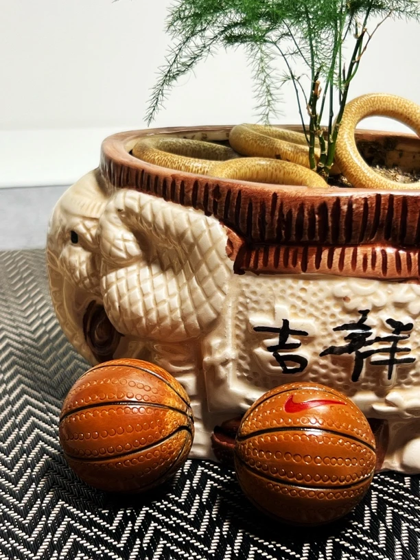 巴西大橄榄-球（一对）3.4