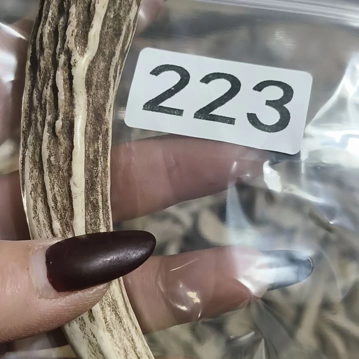 大***太鹿角鹿角鹿角鹿角鹿角鹿角