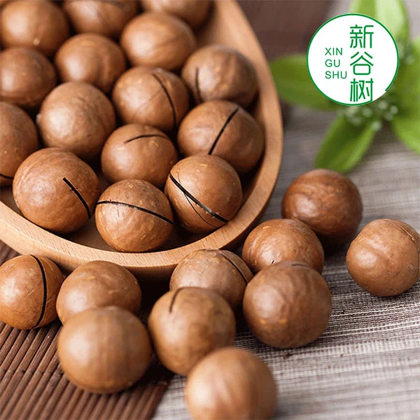 梅州新谷树有机夏威夷果2025过年礼包奶香味香甜酥脆五华长布坚果