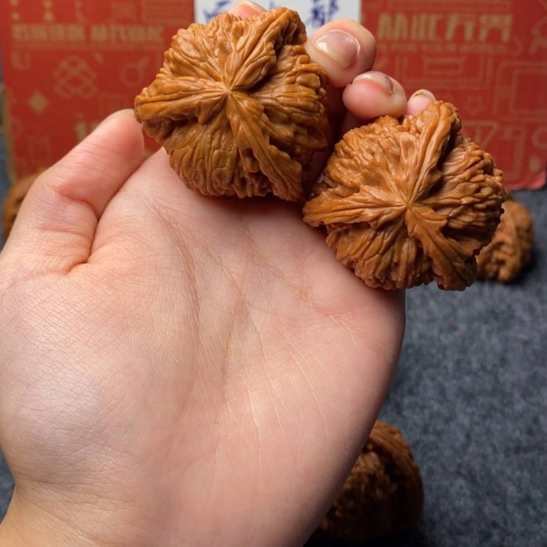 【闪购商品】玩****?白狮子1111