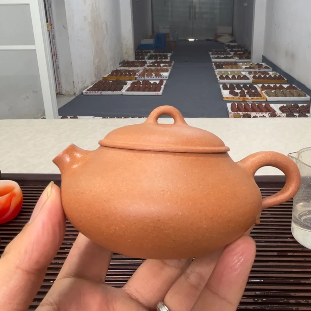 茶壶紫砂紫砂…………