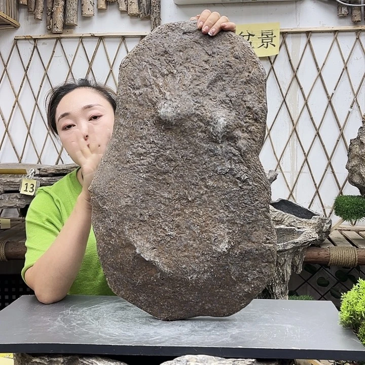 盆景盆异性花盆鱼缸w60