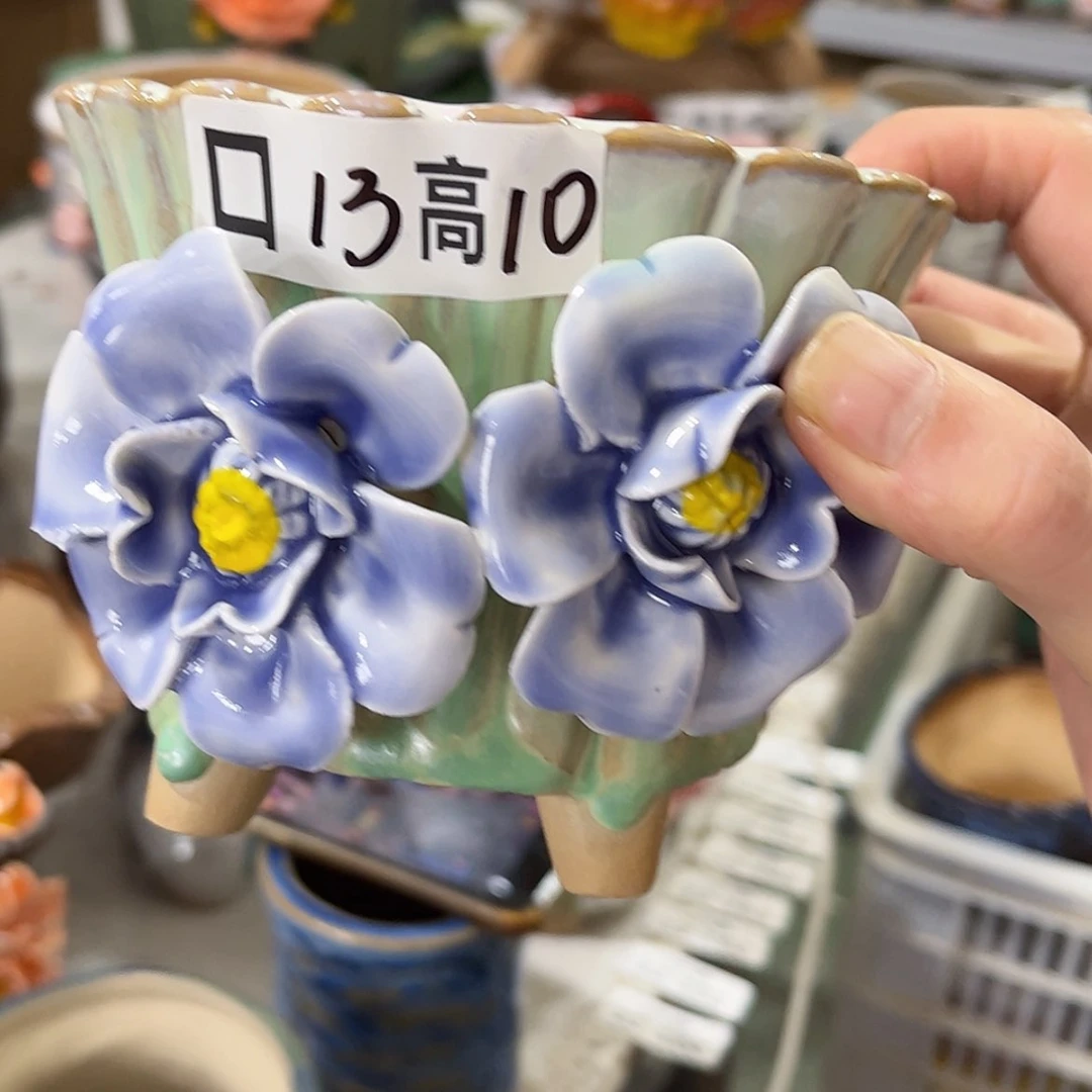 【闪购商品】红陶福利