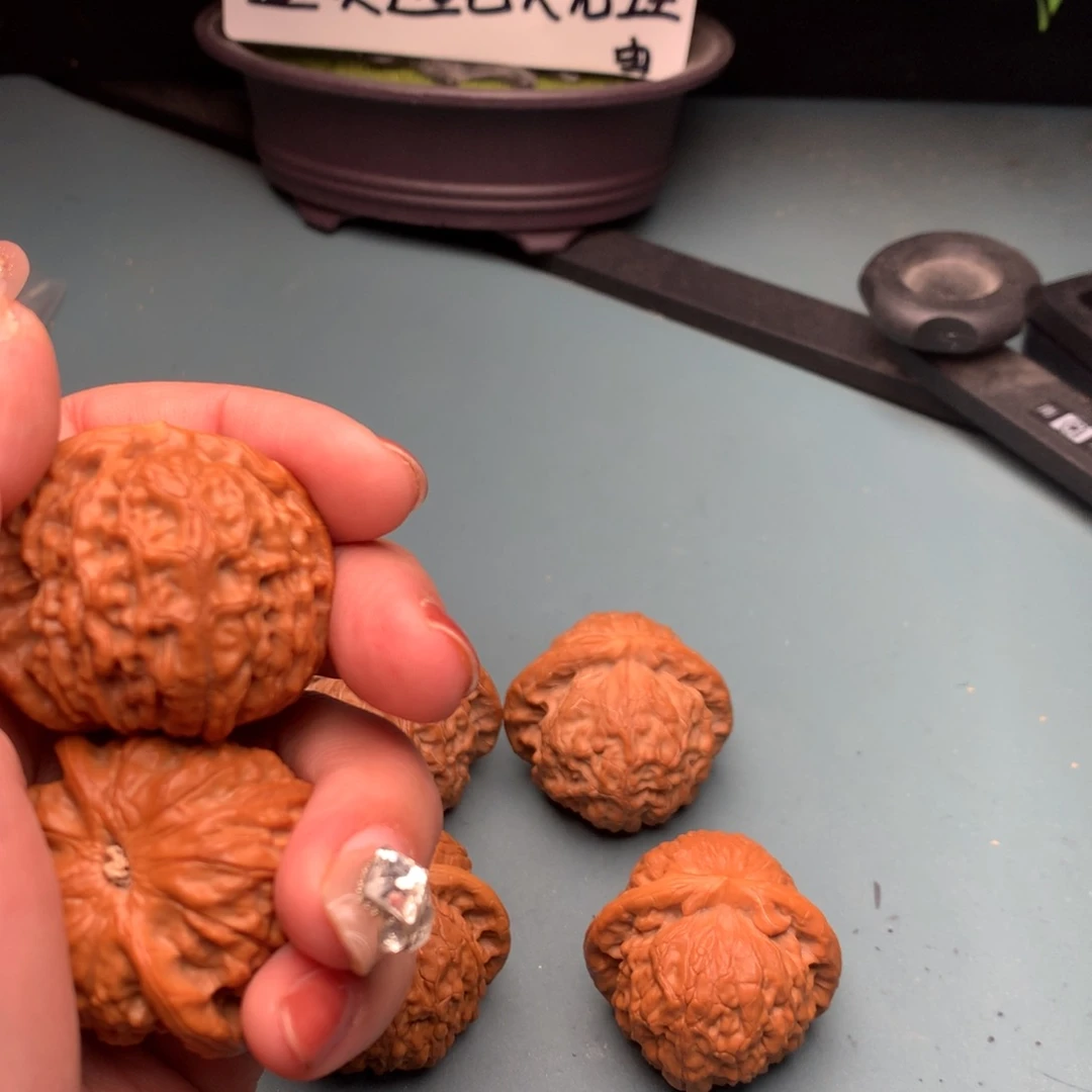 文玩核桃把件金麒麟4041