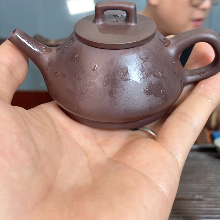 酲***醒紫砂茶宠哈哈哈哈哈这个综艺节目