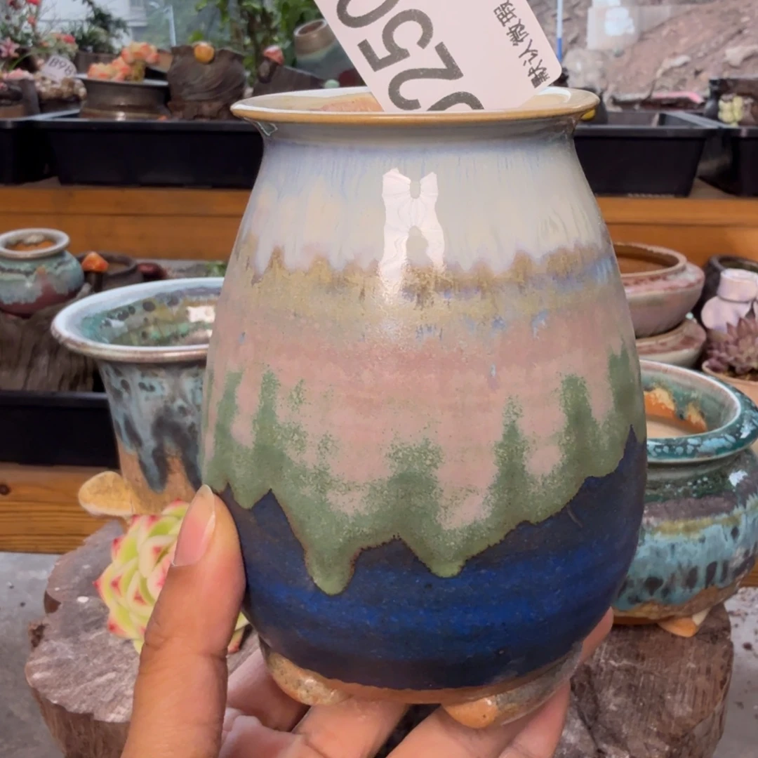 重庆小燕子欢迎大家250