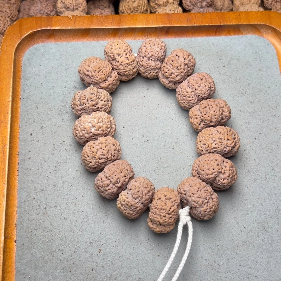 菩提19号金刚菩提夹板菠萝蜜25+