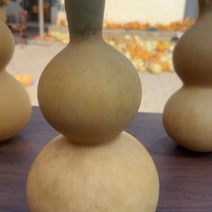 咕噜咕噜咕噜估计