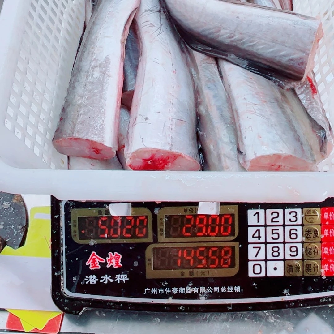 中国大陆鳗鱼鱼尾5斤
