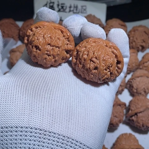 把件文玩核桃白狮子