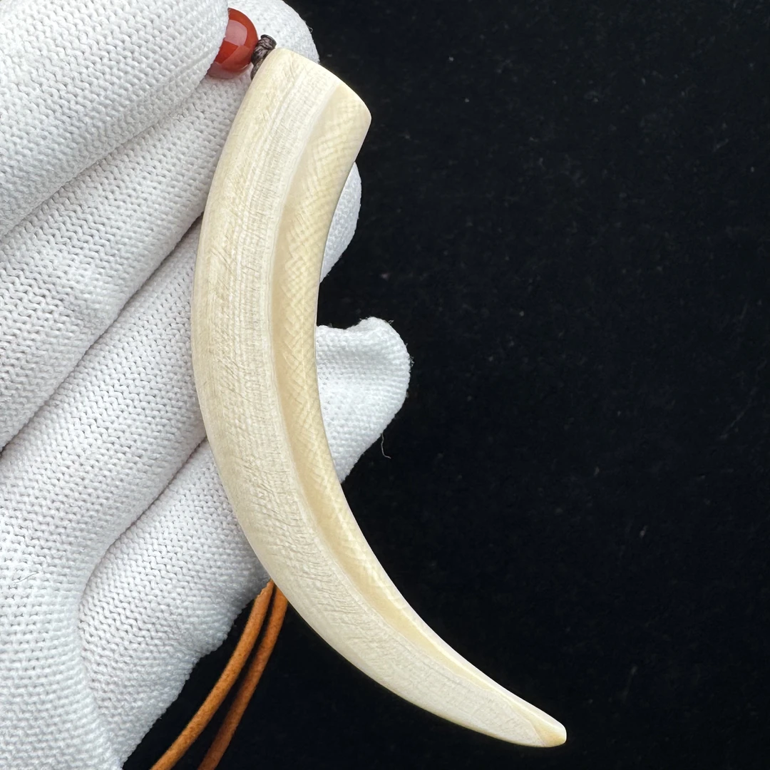 L2509 天然猛犸牙牙尖84.8mm 支持鉴定 假一罚四