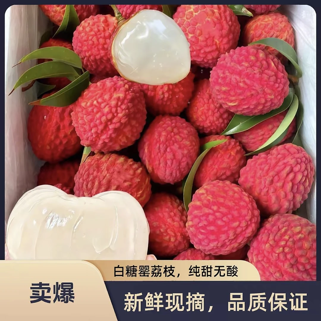 【兔优达京东冷链】当季新鲜现摘白糖罂荔枝香甜可口多仓发货