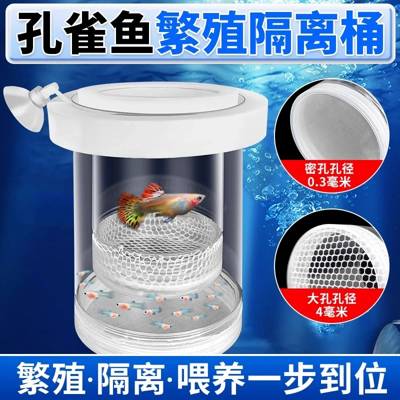 悬浮式孔雀鱼小鱼繁殖隔离盒鱼缸分隔凤尾鱼孕母鱼生产专用孵化器