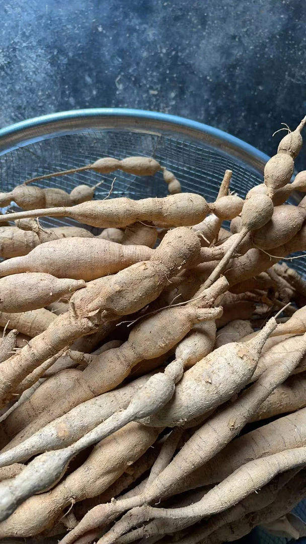 高清风 新鲜牛大力深山挖湿货 煲汤煮茶泡8+1