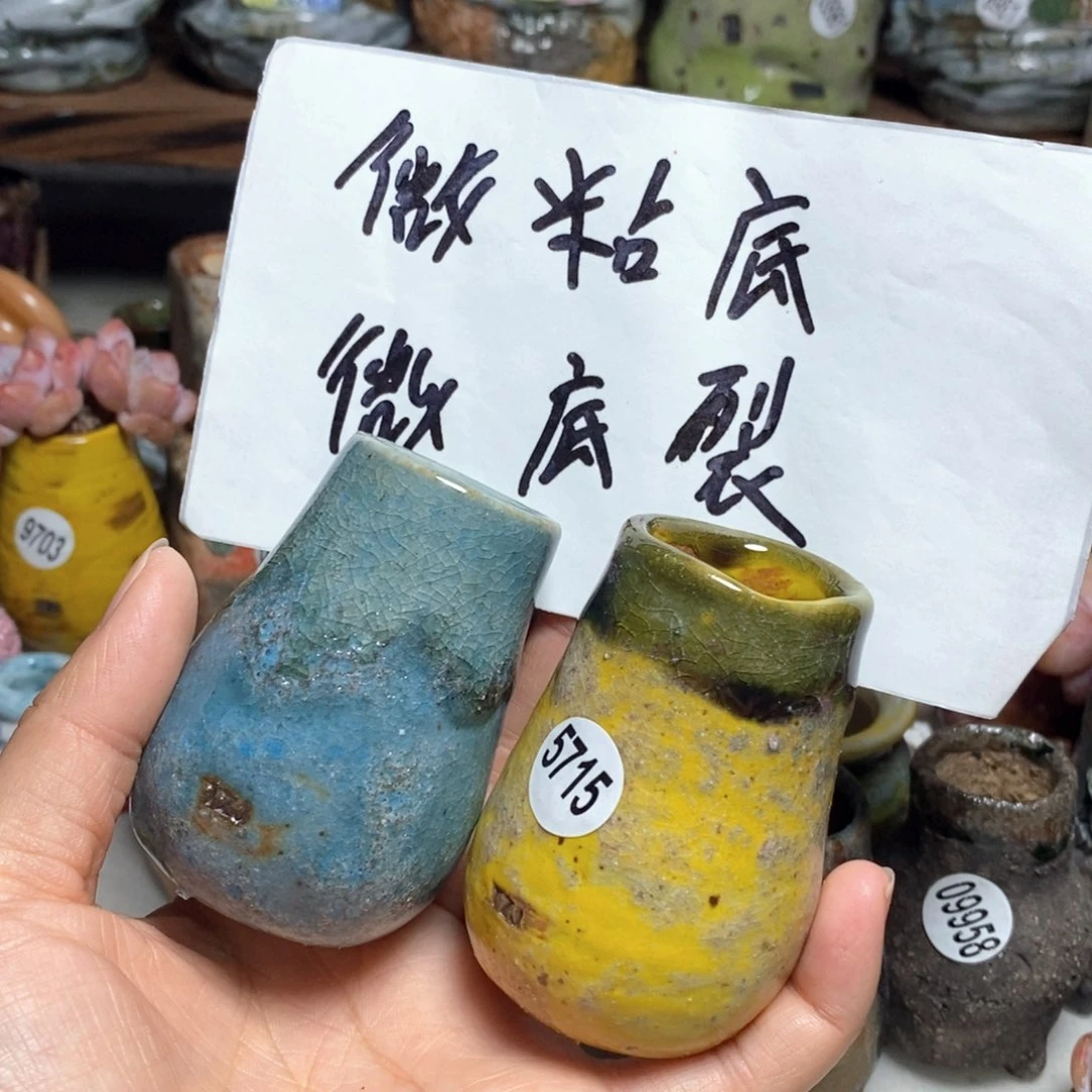 处理的，不退不换的