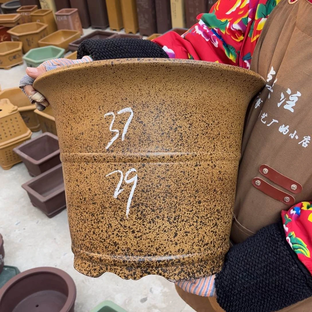 紫砂花盆盆景艺术