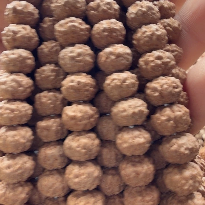 魑***魉吊坠金刚菩提毒药梅花10+