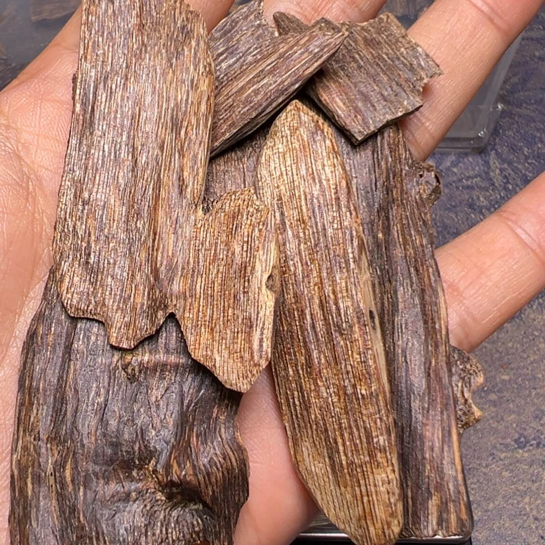 夜***潮沉香碎屑沉香树心虫漏10克
