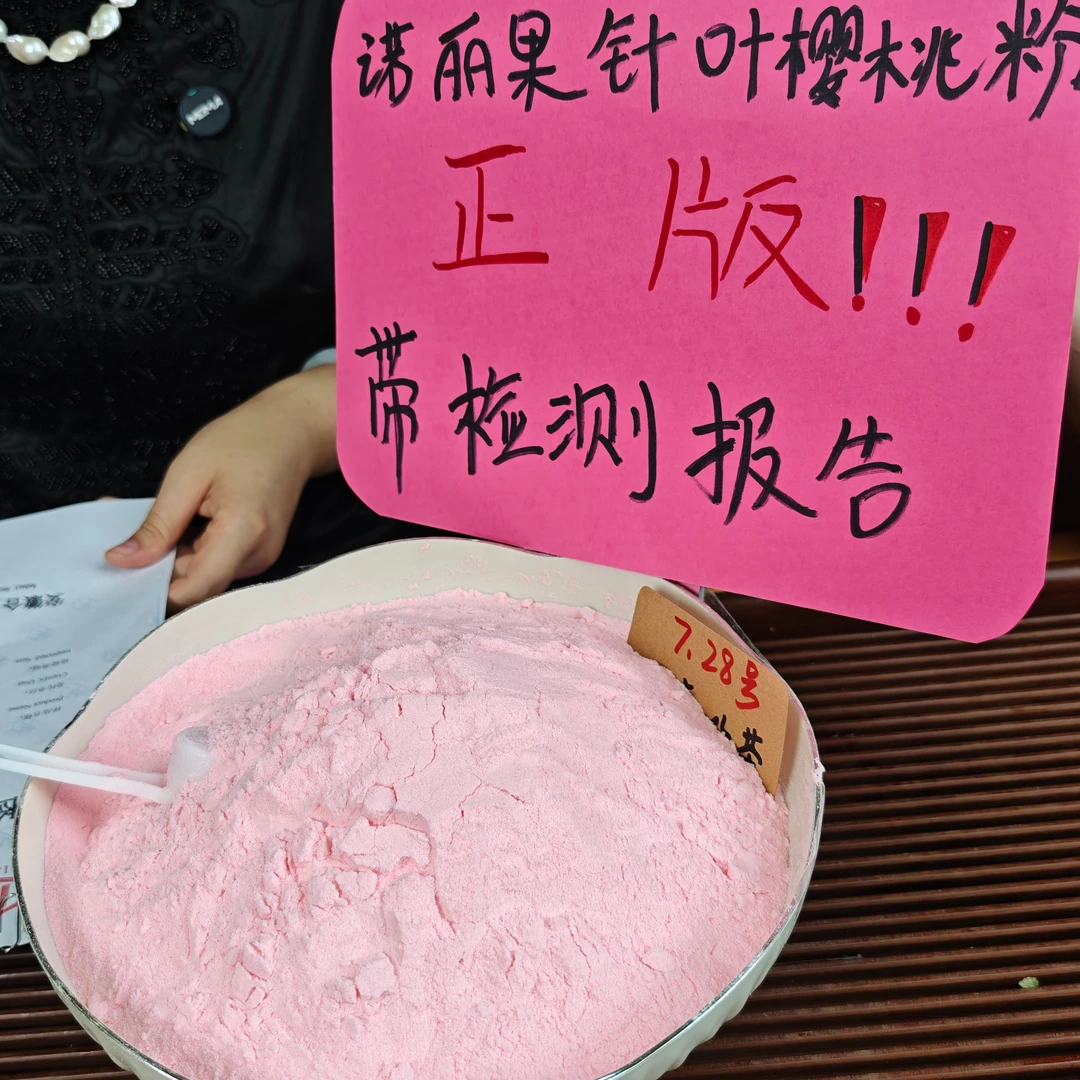 诺丽果针叶樱桃粉 正版带检测报告 冬青收茶