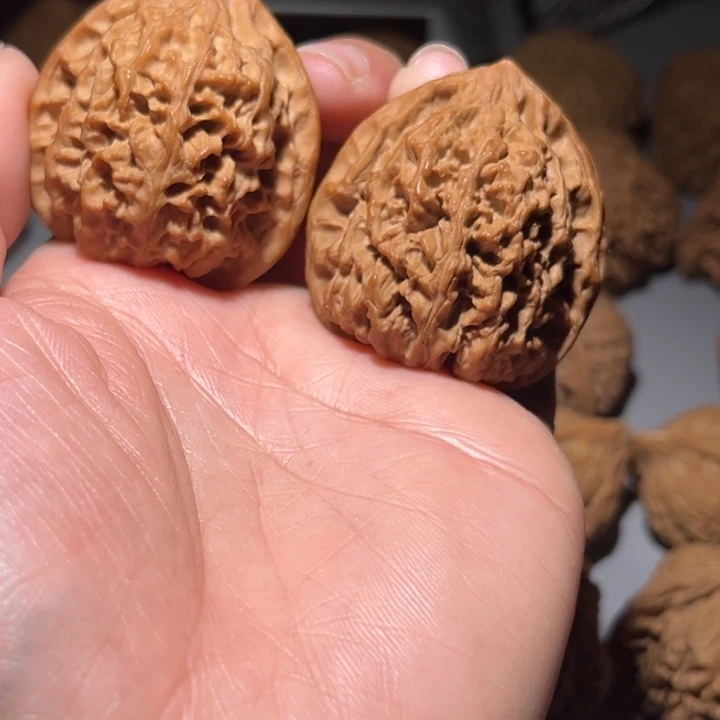 木质类野牛40全品