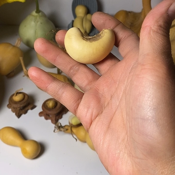 阿***哥异形葫芦手把件小葫芦