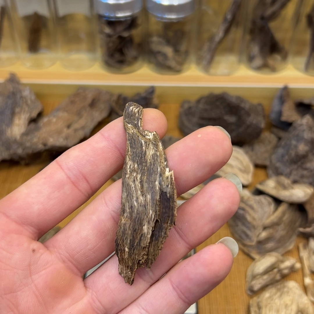 杰***仔香港天然黄棋根3g