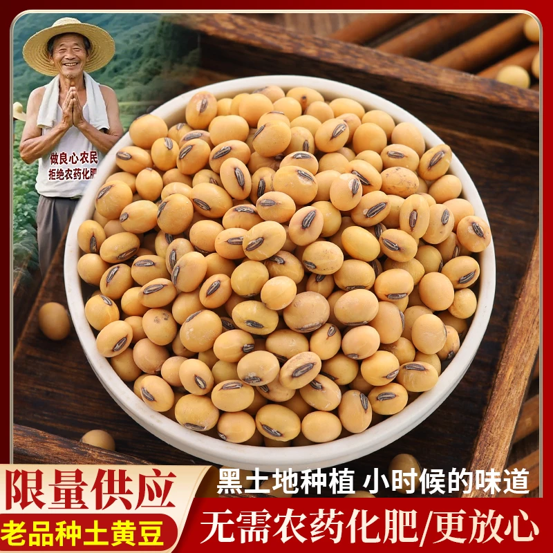 拒绝农药老品种黄豆新东北黄豆农家自种黄豆非转基因黄豆豆浆专用