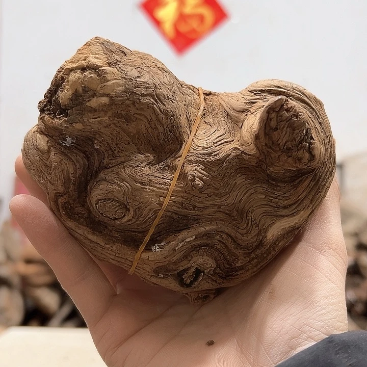 柏木福*我们都是好孩子呀我