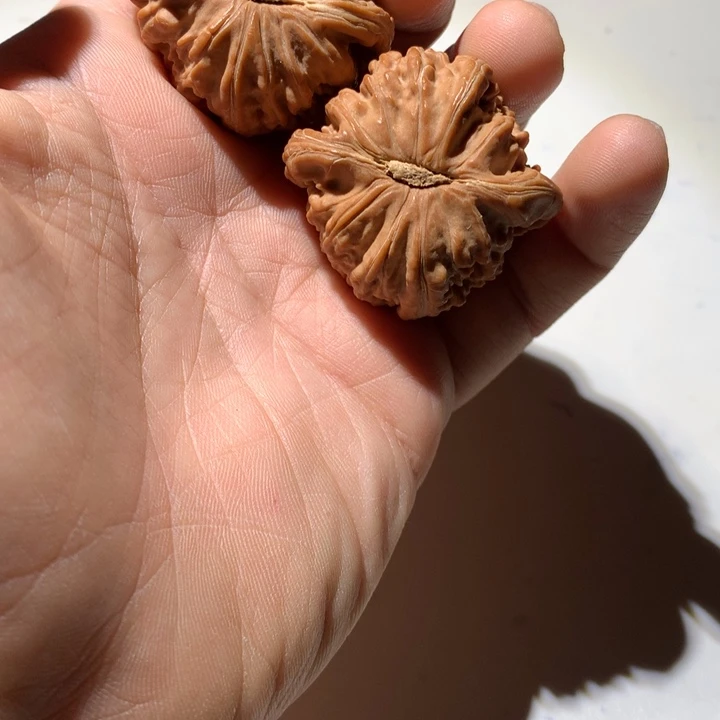 把件文玩核桃白狮子