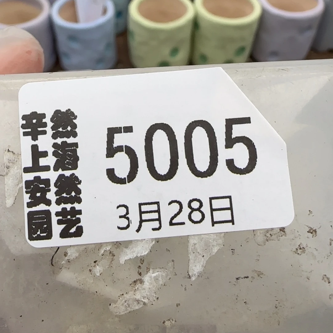 小**.3.28。.92奶瓶*2。5005