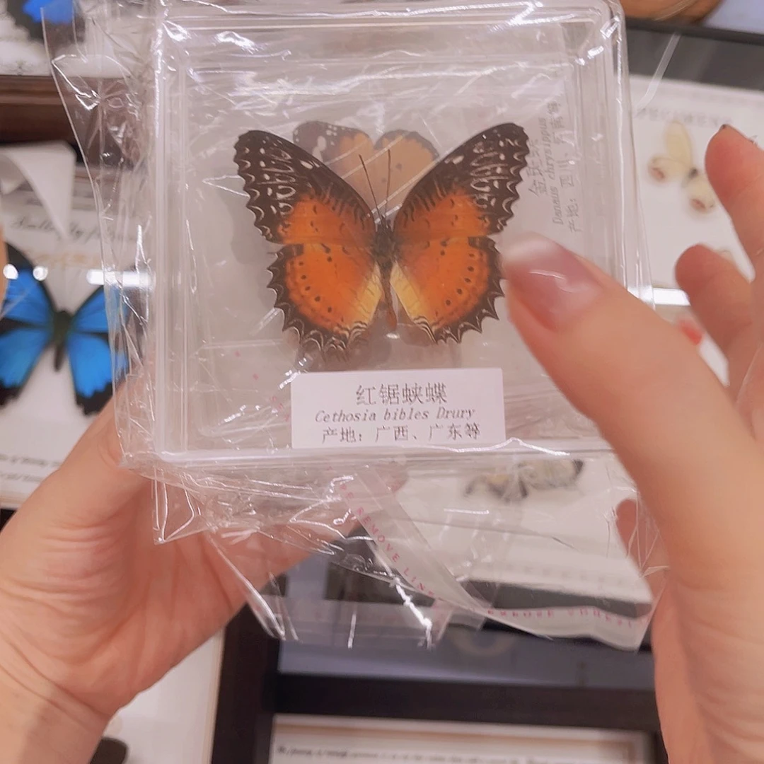 ௸****௸套餐1号6个不同品种亚克力固定