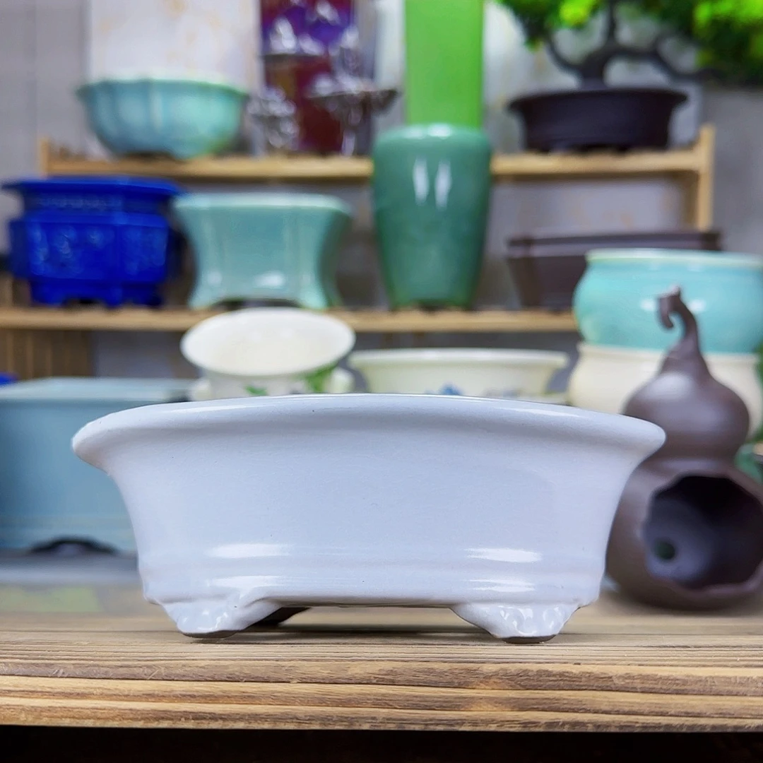 陶瓷花盆特价上新