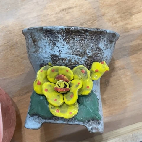 JF黄花313131313443